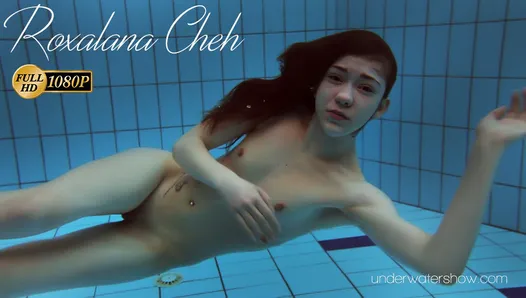 入れ墨のある白い水着-水中美女roxalana cheh
