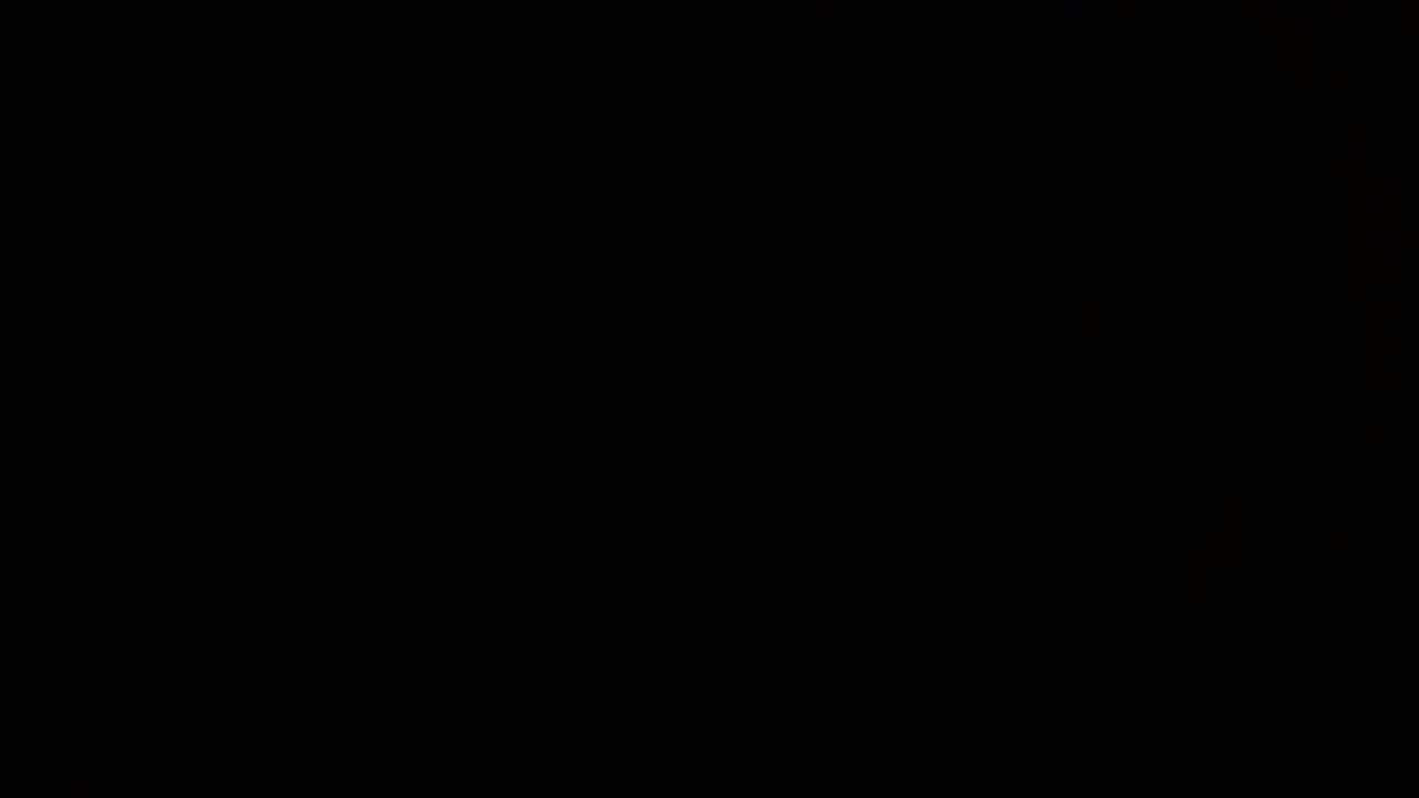Almita 4