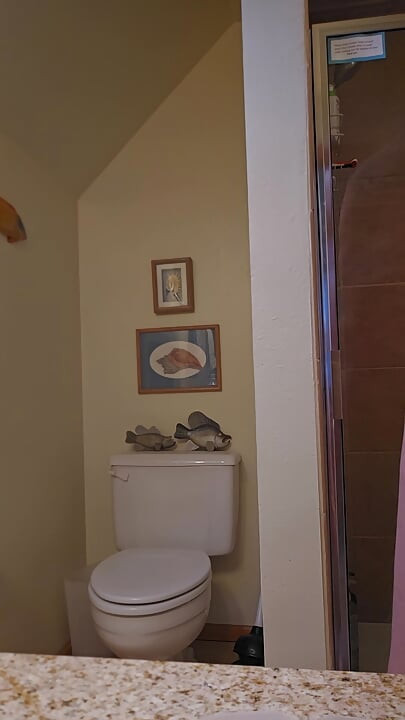 Sunday Shower and Dressing