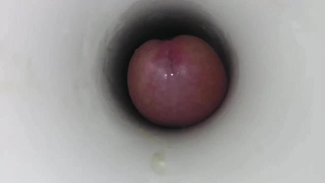 Pene