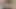 Magst du meinen fetten schwanz?