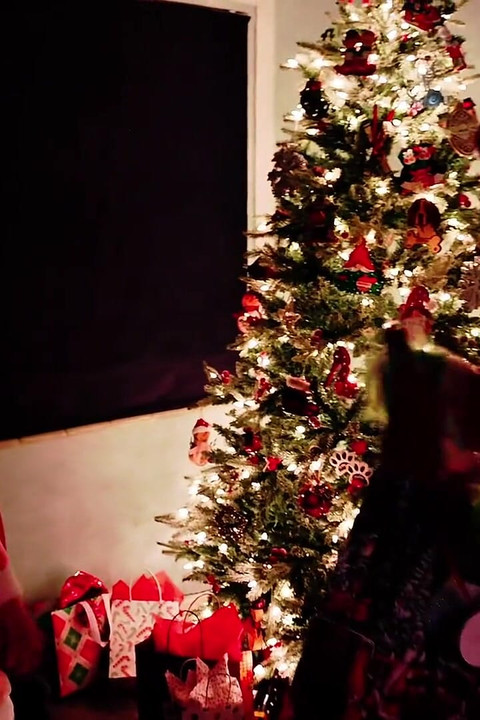 Como o Grinch fodeu o Natal