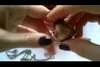 Video pregled