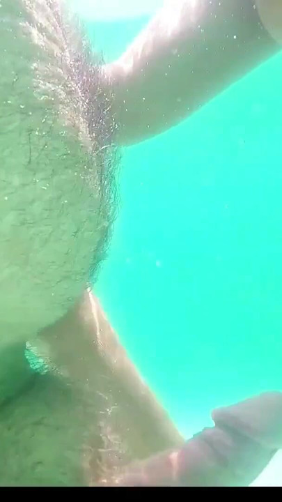 Pastel & Rex in Portlock | Clip 1