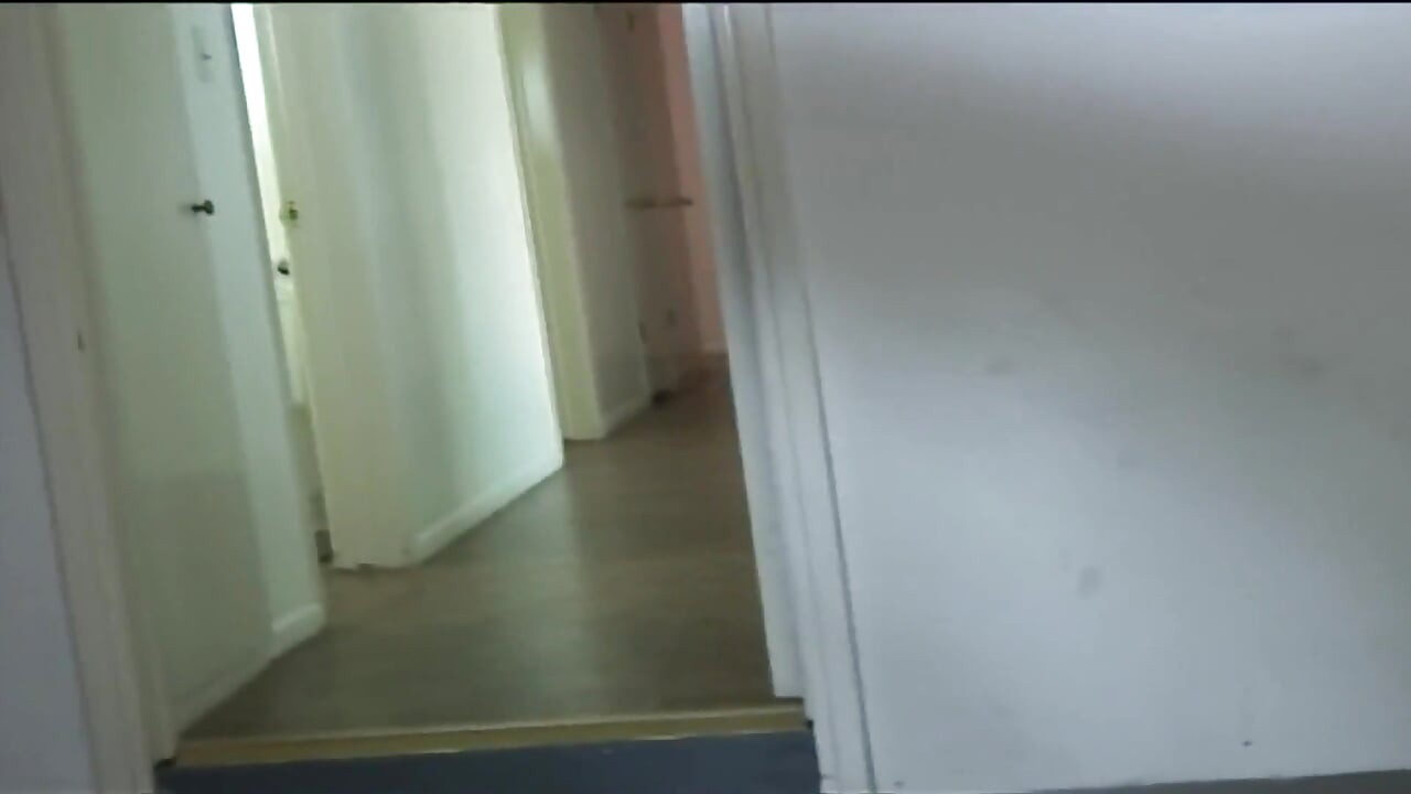 性感的凡妮莎可以教你關於性的一切