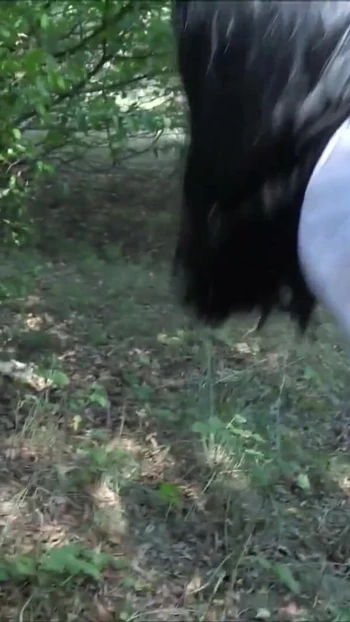 Spectacular moment from "Big Dick Refugee Fuck German College Teen Public in Forest"