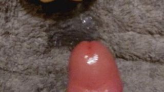 Zabawa i sperma - pchnięcie ustnego strokera rubinowego z kulą wibratora