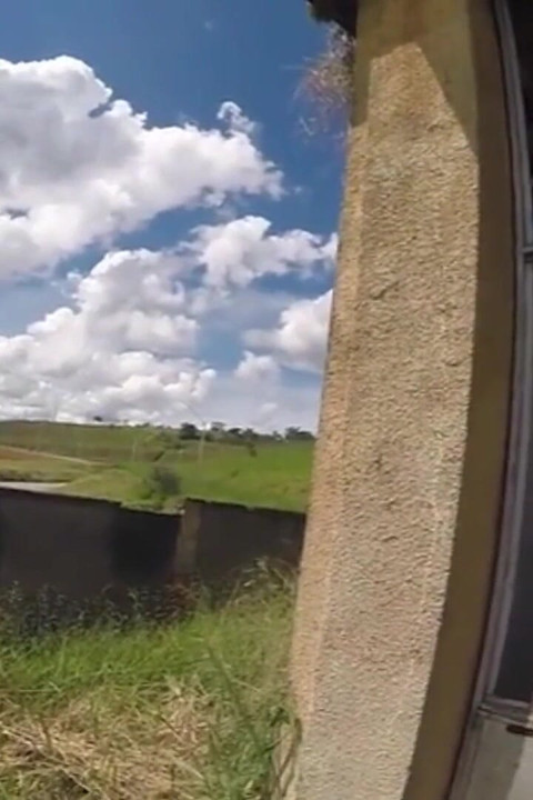 I Jumped Over the Wall to Jerk off in the Shaking Shed