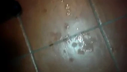 Tributo bu sefer değil