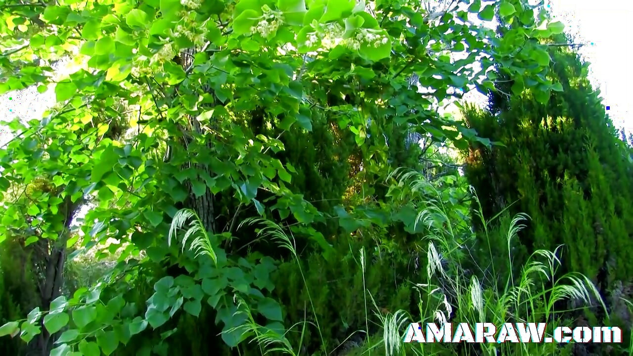 Group sex with Damaris and Nancy Hot outdoors gets wild