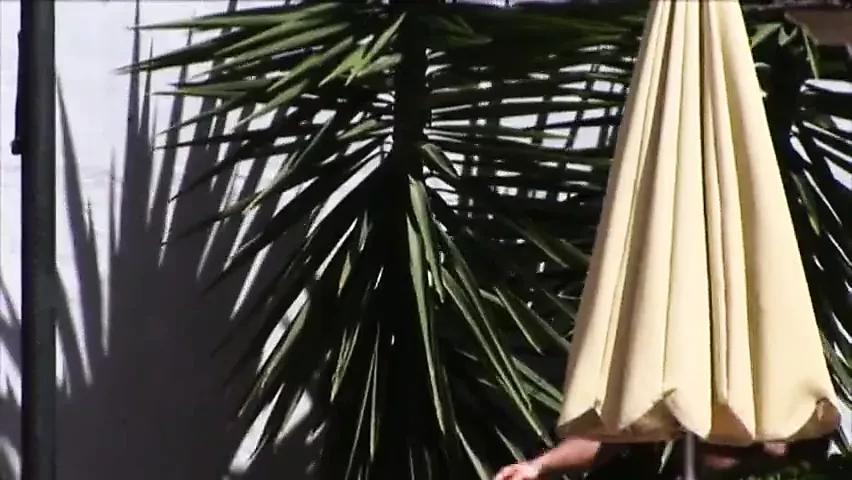 外出度假