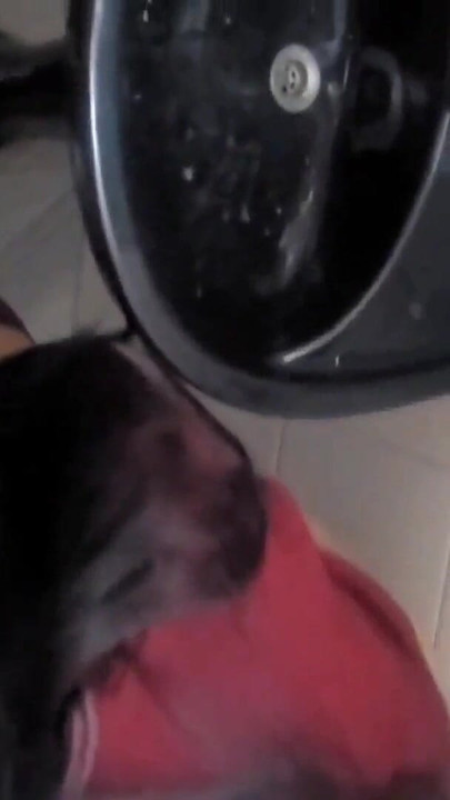 Thrilling moment from "Students in the bathroom of the Homemade Video Institute!  I fuck my classmate in the bathroom"