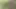 A girl fucking hard in her tight pussy with he ex boyfriend in the forest area, An asian teen girl fucking and blowjob with