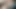 Png – en iyi köpek stili 2021