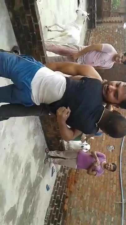 Захоплення яєць