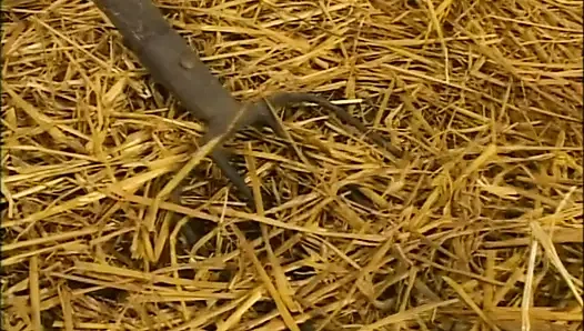 Dicke und saftige Ärsche (kompletter porno-film)