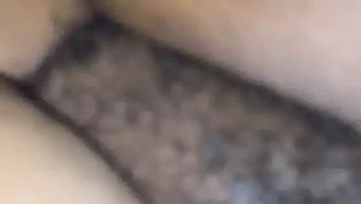 Cum üzerinde kedi