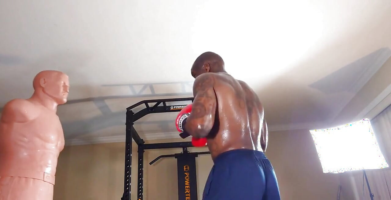 Boxing Workout the Core Is Defined by the Structures That Make up the Lumbo-pelvic-hip Complex (lphc) and Includes the Global an