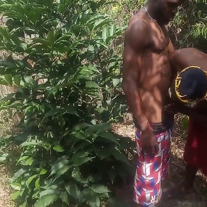 Kankam ile bir çalı takılıyor