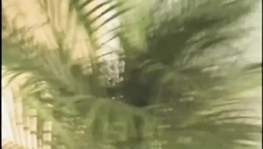 Dua cewek seksi saling muasin memek satu sama lain