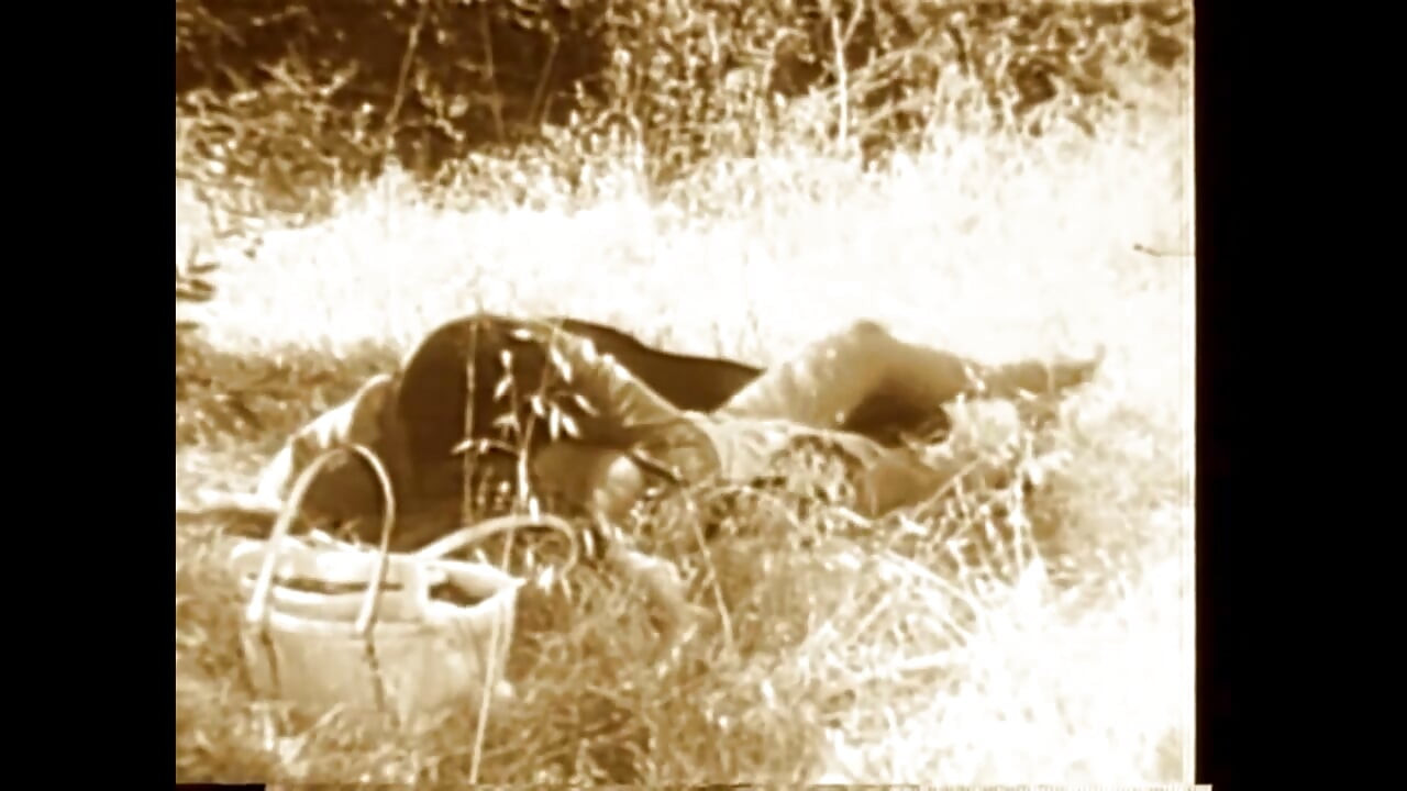 在燃烧的草地上