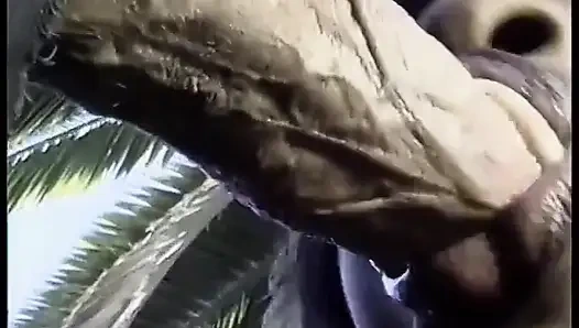 Ateşli zenci bebek soyunuyor ve sonra büyük siyah yarağı emiyor