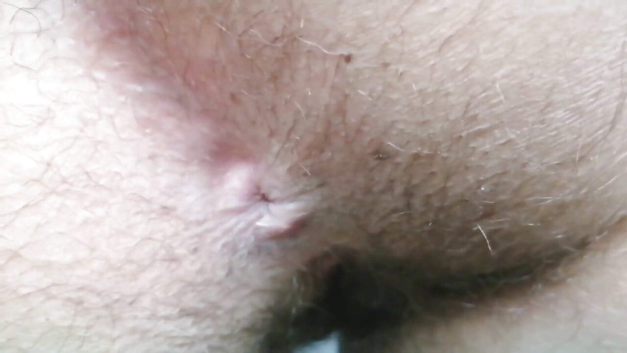Extremo close-up de adoração peluda