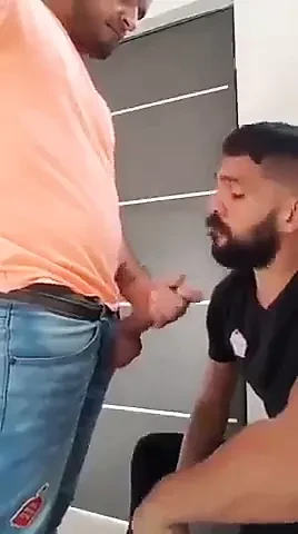 SWALLOW