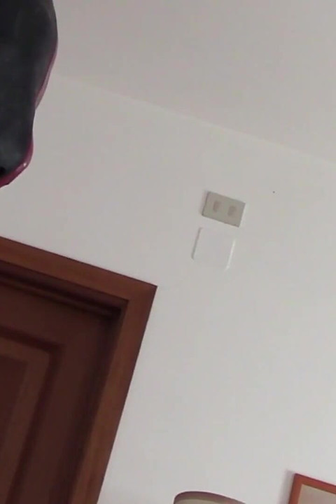 ローラはセクシーな服を着て縛られ、ボールギャグ、リングギャグ、喉を犯され、中出しされている