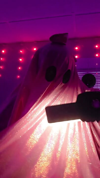 The Naked Ghost