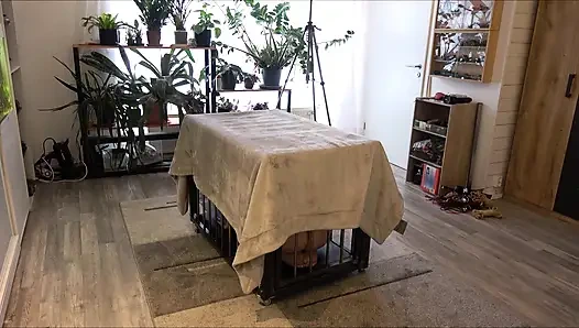 Yes, Master, I'm Yours