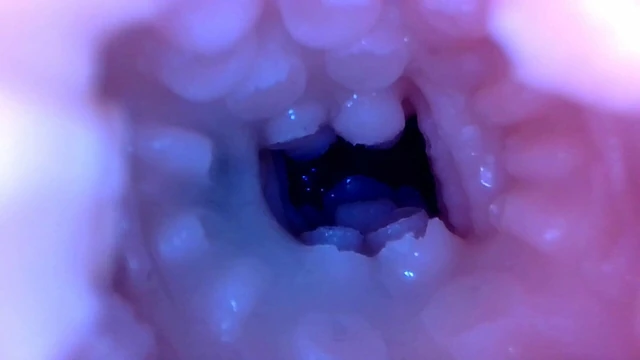 Flashlight masturbator