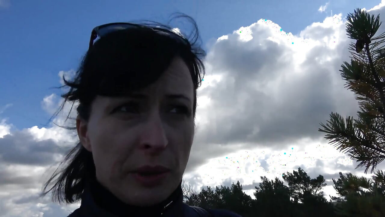 פיתול על הדיונה החולית