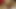 Tsかわい子ちゃんが絶頂