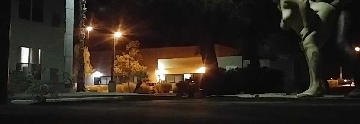 Public sex in the night time shadows!