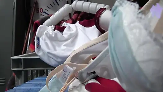 Hentai pelacur Asia sange 142