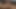 Cameron Kincade schlägt sein Fleisch
