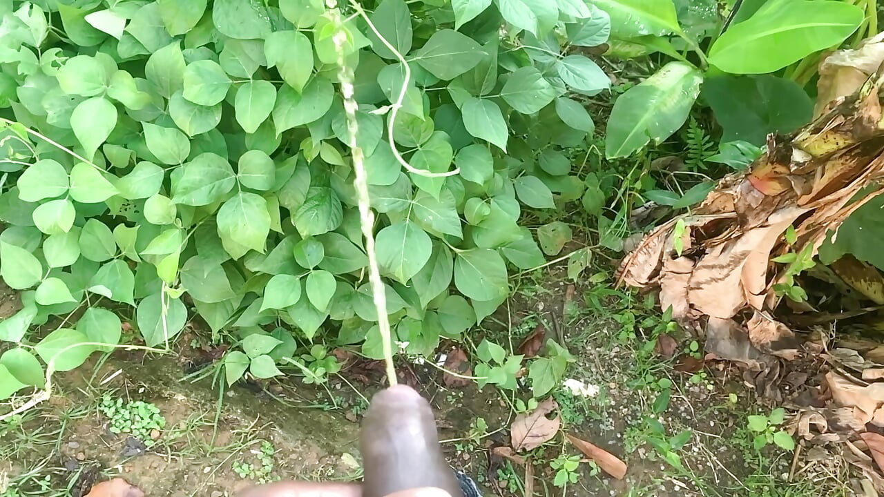 Pissing Compilation Desperate Male in Public - Piss on Grass
