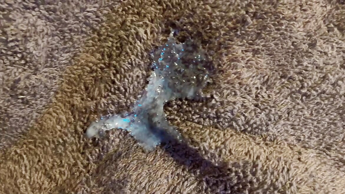 lot of sprems cumed in hana pussy tiny hole wet cute pussy