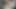 Tanga m7arrek ljnib w zabb kbir yfsh5 tizi 7ta l97ed bla r7ma