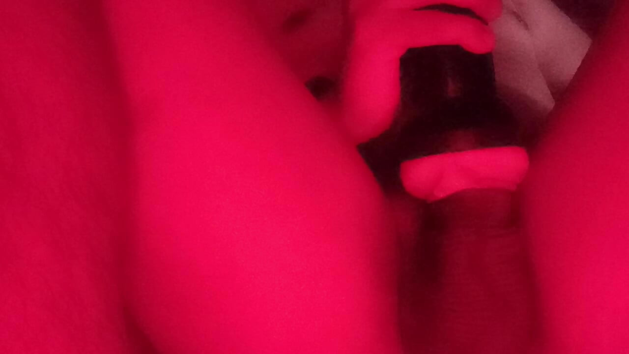 Warm mein milchtag 1616