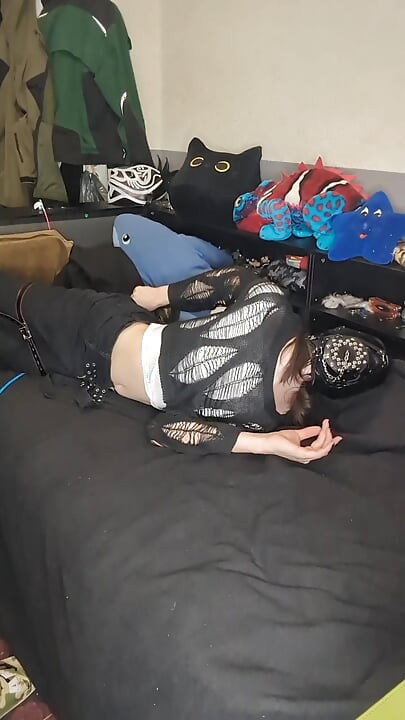 trying head harnes hogtie