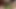 感謝祭に、私の女性がドレスを着て私の膝の上に座っていたので、私はみんなの前でこっそり彼女の中に挿入しました