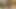 本物のレズビアンとセックスしてみませんか?