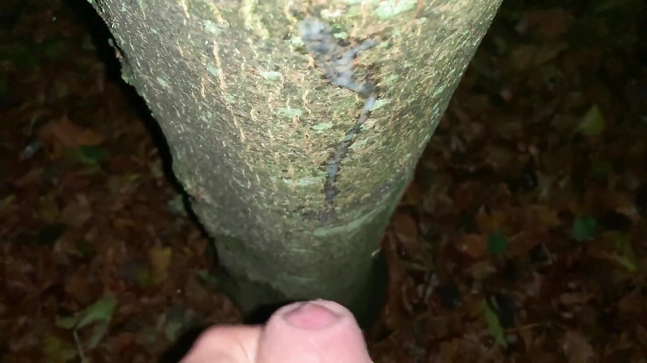 Pancutan air mani di atas pokok dan pandangan dekat pada beban segar saya