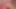Desperate Amateurs Ally Misty Abby Savanna Coco Vicki Isabella Olivia Alex and Tiny getting their tight pussies stretched