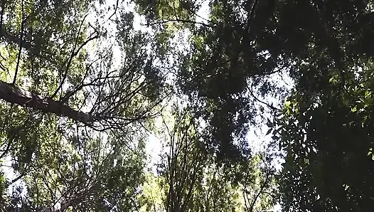 A123G10 Picking up a mature woman found in a dense forest! Even a rural lady who seems serious at first glance loves sex, being stripped naked and climaxing repeatedly with another man's.