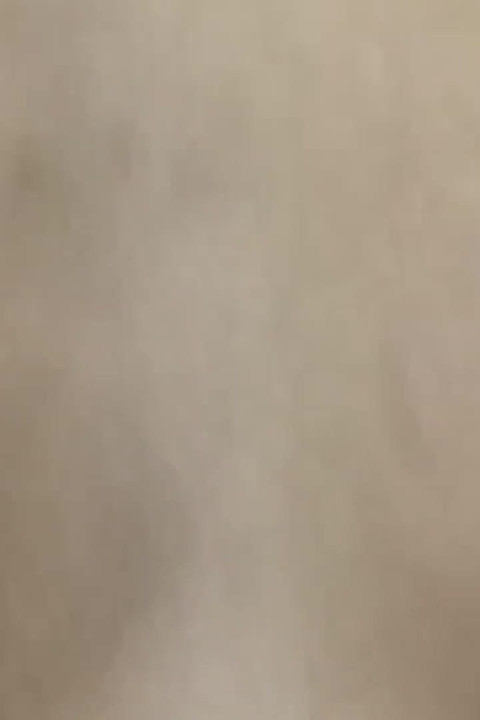 Stepsister Gave Her First Sex and a Blowjob for My 18th Birthday