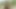 Asstraffic pretty brunette enjoy anal fucking