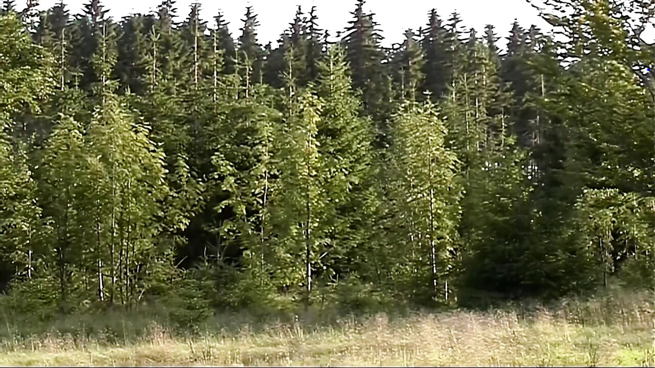 Foråret gør os alle liderlige del #4 - Fuldt remastered i HD